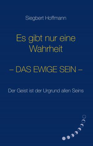 Cover of the book Es gibt nur eine Wahrheit by Bernd Sternal