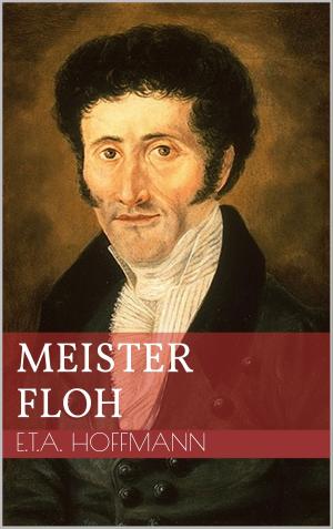 Cover of the book Meister Floh by Martin Kreuels
