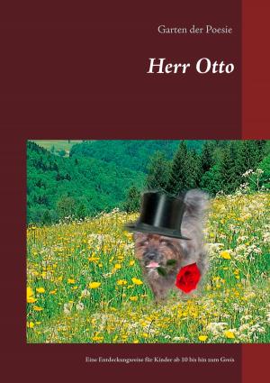 Cover of the book Herr Otto by Sebastian Coenen