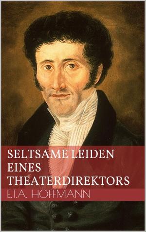 Cover of the book Seltsame Leiden eines Theaterdirektors by Hans-Josef Fritschi