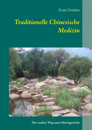 Cover of the book Traditionelle Chinesische Medizin by Rosemarie E. Hille
