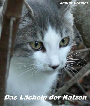 Cover of the book Das Lächeln der Katzen by Rüdiger Küttner-Kühn