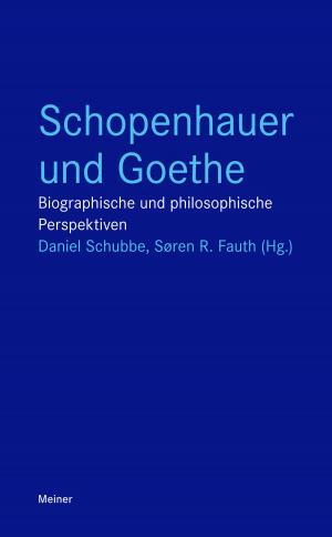 Cover of the book Schopenhauer und Goethe by Maria Moog-Grünewald