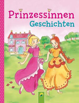 Book cover of Prinzessinnengeschichten