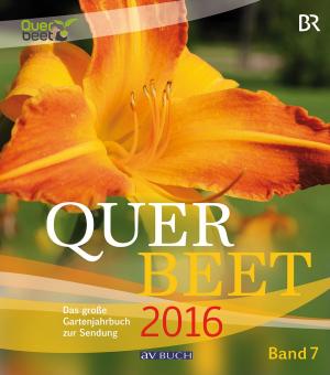 Cover of the book Querbeet Band 7 (2016) by Angelina Paustian