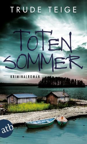 Cover of the book Totensommer by Johannes K. Soyener