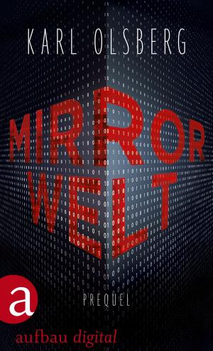 Cover of the book Mirror Welt by Edgar Rai