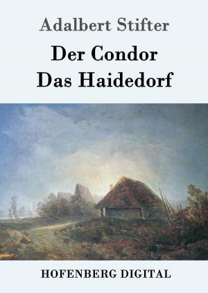 Cover of the book Der Condor / Das Haidedorf by Ödön von Horváth