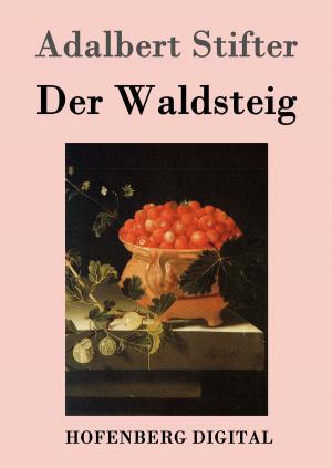 Book cover of Der Waldsteig