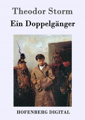 Cover of the book Ein Doppelgänger by Erich Mühsam