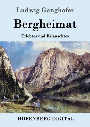 Cover of the book Bergheimat by Robert Louis Stevenson