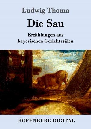 Cover of the book Die Sau by Ludwig Ganghofer