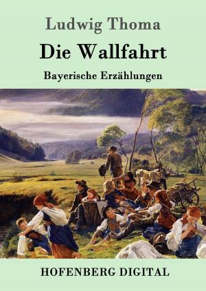 Cover of the book Die Wallfahrt by Joseph von Eichendorff