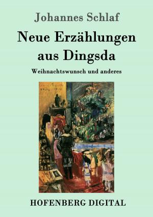 Cover of the book Neue Erzählungen aus Dingsda by Gabriele Reuter