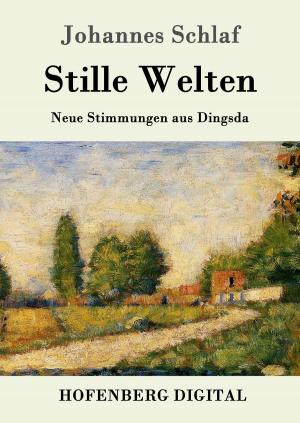 Cover of the book Stille Welten by Franz Grillparzer