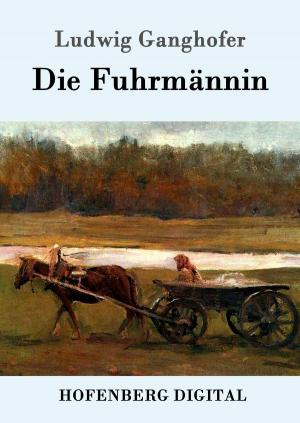 Cover of the book Die Fuhrmännin by E. T. A. Hoffmann