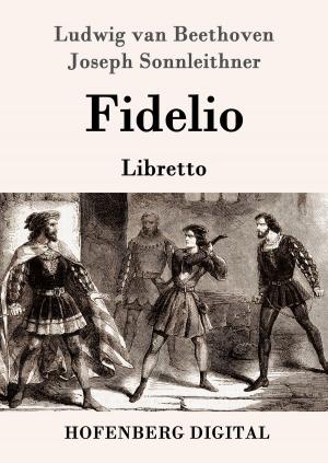Cover of the book Fidelio by Josephine Siebe