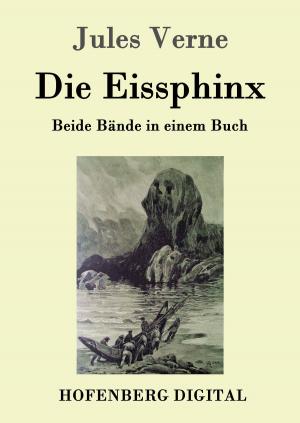 Cover of the book Die Eissphinx by Kenneth Patrick Silcott