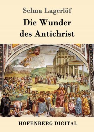 Cover of the book Die Wunder des Antichrist by Joseph von Eichendorff