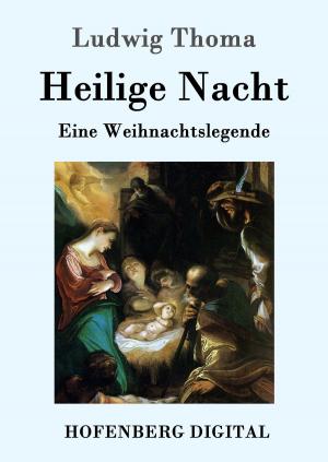 Cover of the book Heilige Nacht by Arthur Schopenhauer