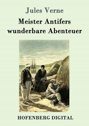 Cover of the book Meister Antifers wunderbare Abenteuer by Franziska Gräfin zu Reventlow