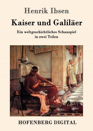 Cover of the book Kaiser und Galiläer by Tjitze de Boer