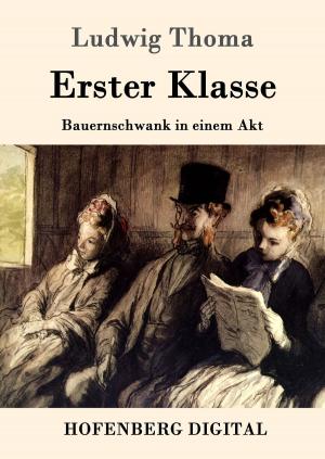 Cover of the book Erster Klasse by Hugo von Hofmannsthal