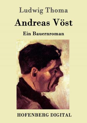 Cover of the book Andreas Vöst by Victor Hugo