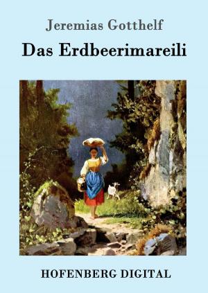 Cover of the book Das Erdbeerimareili by John Henry Mackay