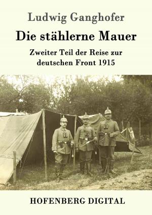 Cover of the book Die stählerne Mauer by Jules Verne