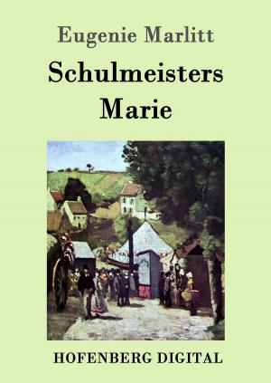 Cover of the book Schulmeisters Marie by Franz Grillparzer