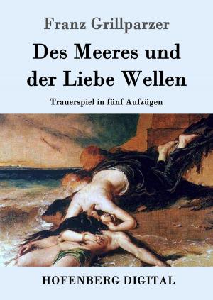 Cover of the book Des Meeres und der Liebe Wellen by Berthold Auerbach