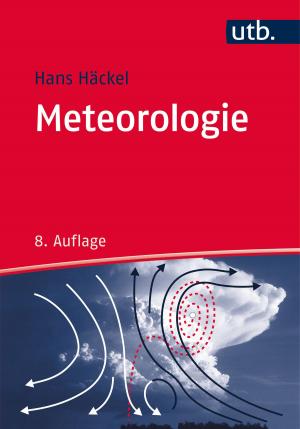 Cover of the book Meteorologie by Thomas Fischer, Thomas Schuhbauer