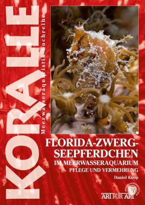 Cover of Florida-Zwergseepferdchen im Meerwasseraquarium
