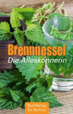 Cover of the book Brennnessel by Katharina Kleinschmidt