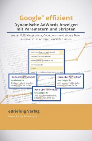 Cover of the book Dynamische AdWords-Anzeigen mit Parametern und Skripten by Albert N Thomas