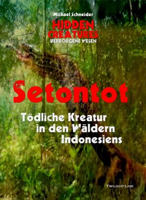 Cover of the book Setontot by André Timon, Byron Brinkmann, Michael Jordan, Marcus Borchel, Nicolas Wezel, Timo Mengel, Marc Gore