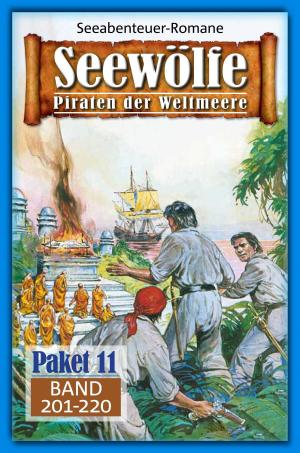 Cover of the book Seewölfe Paket 11 by Jay Erickson