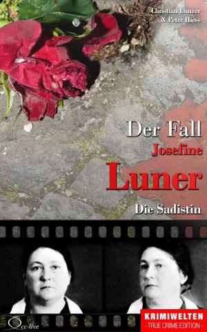 Cover of the book Der Fall Josefine Luner by Christian Lunzer, Henner Kotte, Christian Lunzer, Henner Kotte