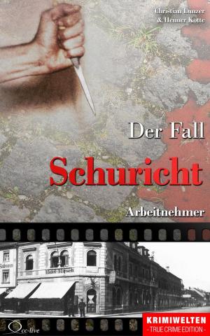 Cover of the book Der Fall Schuricht by Christian Lunzer, Henner Kotte