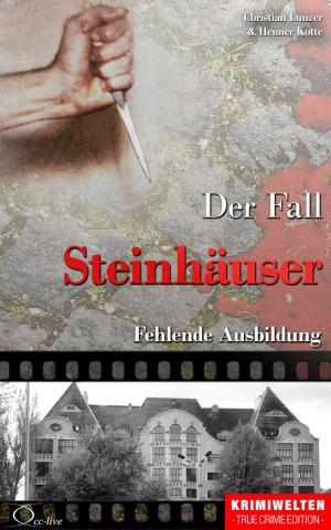 Cover of the book Der Fall Steinhäuser by Christian Lunzer, Christian Lunzer, Henner Kotte