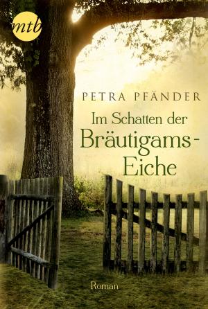 Cover of the book Im Schatten der Bräutigamseiche by Stephanie Bond