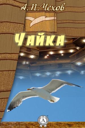 Book cover of Чайка