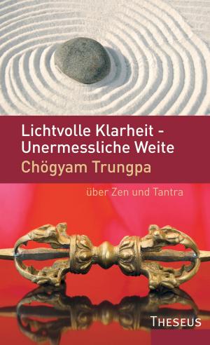 Cover of Lichtvolle Klarheit - Unermessliche Weite