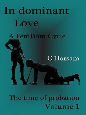 Book cover of In dominant Love - Vol. 1: Time of probation
