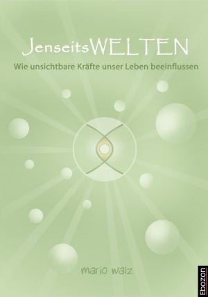 Cover of the book Jenseitswelten by Singer Jürg, Rainer Dr. Schneider