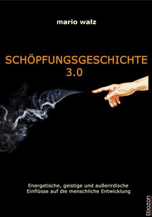 Book cover of Schöpfungsgeschichte 3.0