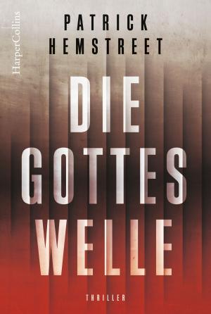 Book cover of Die Gotteswelle
