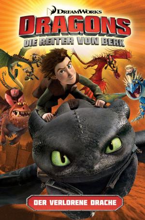 Book cover of Dragons - Die Reiter von Berk 1: Der verlorene Drache