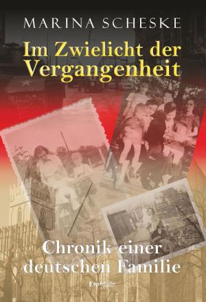 Cover of the book Im Zwielicht der Vergangenheit by Helmut Friedrich Glogau